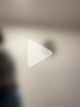 Piggiteablacktea photo 19