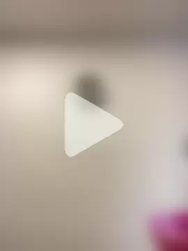 Piggiteablacktea photo 14