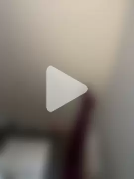 Piggiteablacktea photo 9