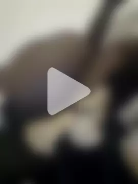 PlasticSurface727 photo 2