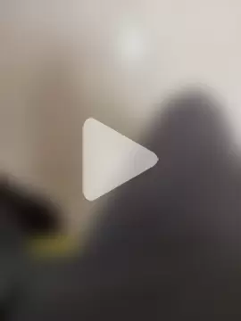 Playbo100 photo 12
