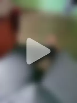 Playbo100 photo 8