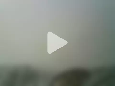 PocoLoco420 photo 19