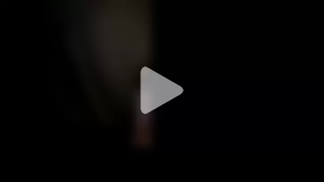 Polaroid_White photo 8