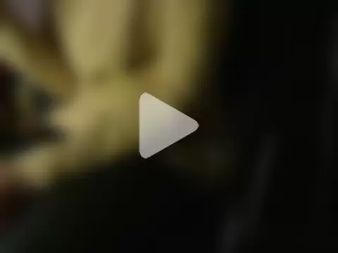 PreetyKitten photo 19