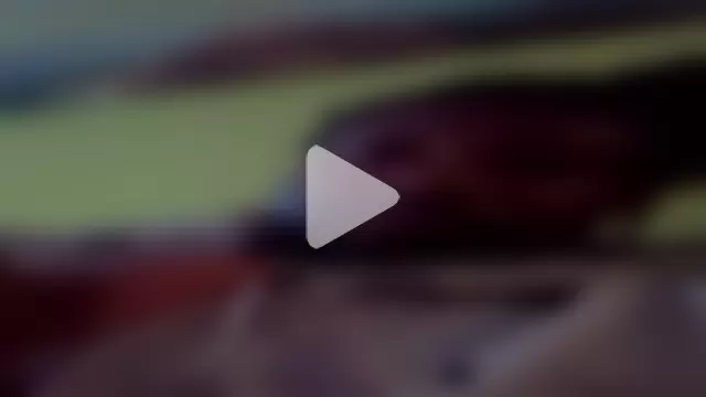 PrinceNoAlbert photo 5