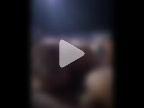 Profbadass69 photo 1