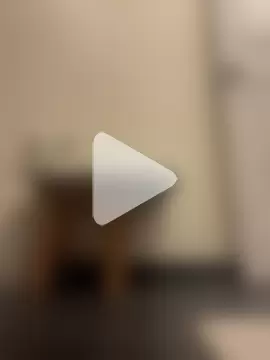 Prolapse_Pig photo 8