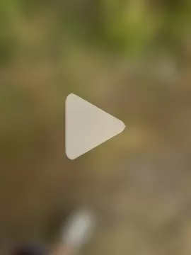 Public_sexyxxx photo 18