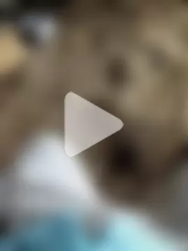 Pusssyfuc photo 6