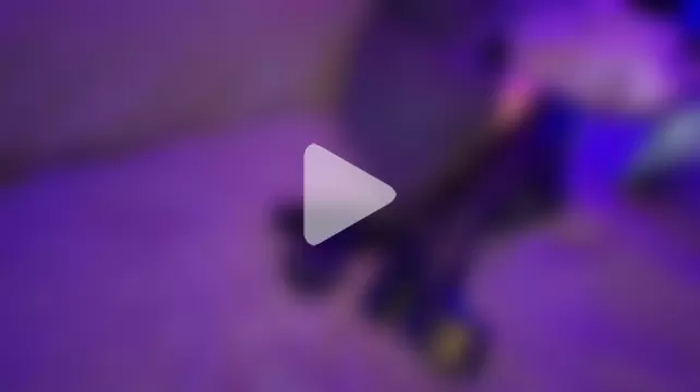 QHarley69 photo 1