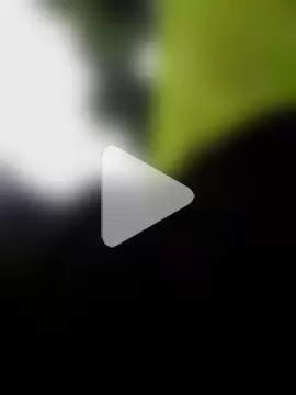 QcMisterv13 photo 17