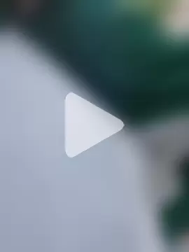 QcMisterv13 photo 16