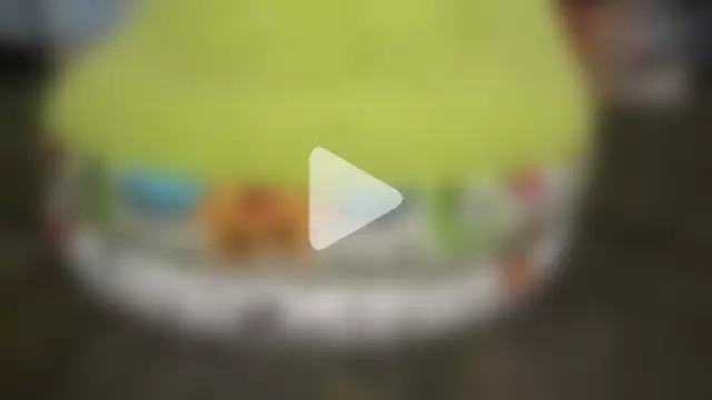 RODRI_POLLADURA photo 23