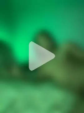 RainFallzxxz photo 4