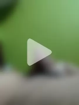 Rajsingh9650 photo 4