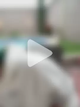 Ramona_Flower photo 8