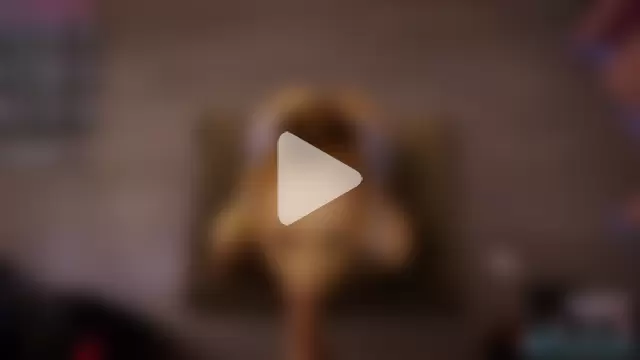 Redhead_Shark_new photo 1