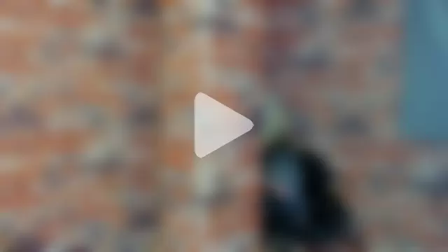 Reichell_Rose photo 19