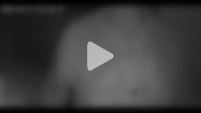 Reza_3hands_of_ photo 1