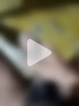 Rik0rik0 photo 6