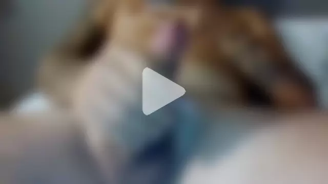 RimmingPussy24 photo 14