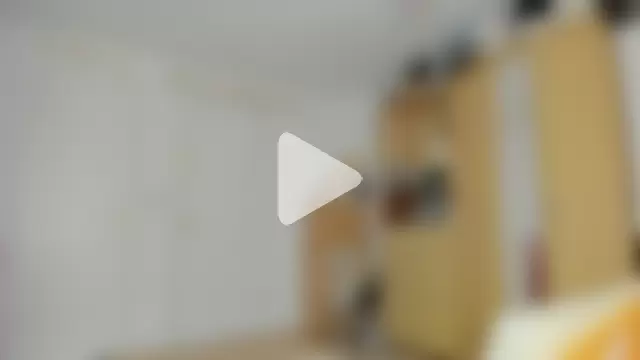 Rolla_Coaster photo 26