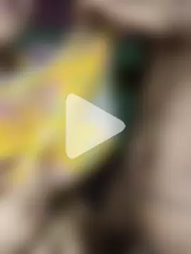 RomanticCouple432 photo 13