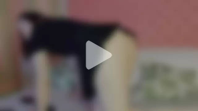 Ruby_de_Cherry photo 6