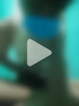 SEXY_KUMAR__0 photo 13