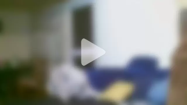 SHORTGUN_STALLION photo 25