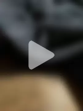 SL_NIKI_PUBLIC photo 2