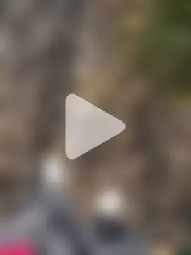 SL_NIKI_PUBLIC photo 4