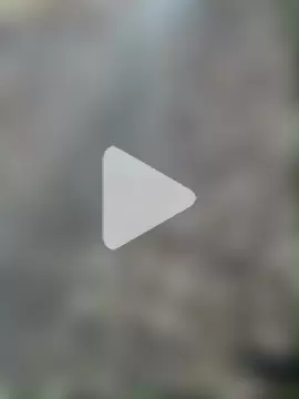 SL_NIKI_PUBLIC photo 2