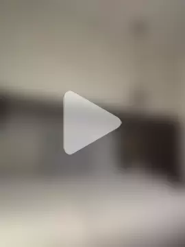 SOPHICARTERS photo 20