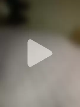 STRIPsegale photo 15