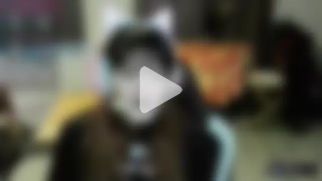 Samanteased photo 18