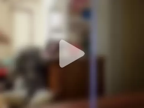 Samantha_Squirt@xh photo 23