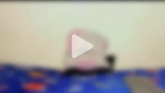 Samuel_Suarez photo 15