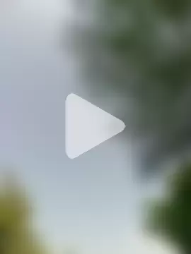 Sapna9685 photo 4