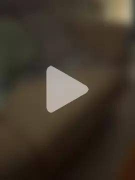 SavagesGN photo 1