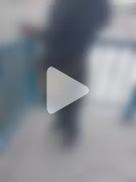 Saysomething3 photo 2