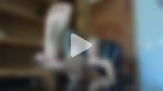 Scout_Avrora photo 15