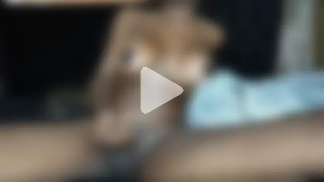 SeductiveMiahBrown photo 25