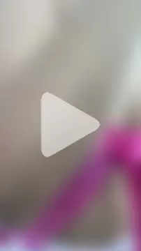 Selene_Wings22 photo 15