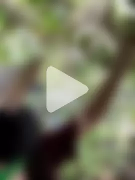 Serena_lovely24 photo 13