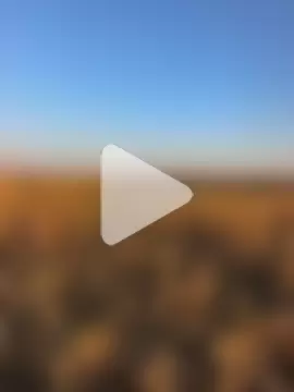 Sert_erkek21_ysm photo 16
