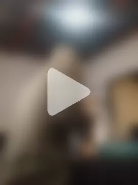 Sexxoophone photo 14