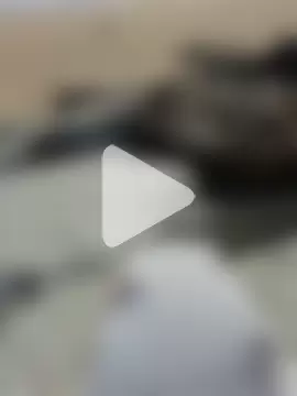 SexyErola27 photo 11