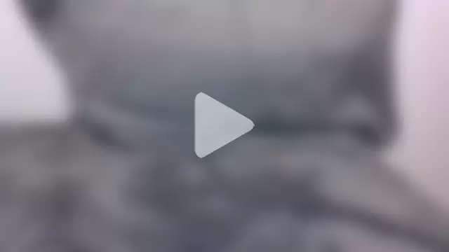 Sexy_asianxx photo 10